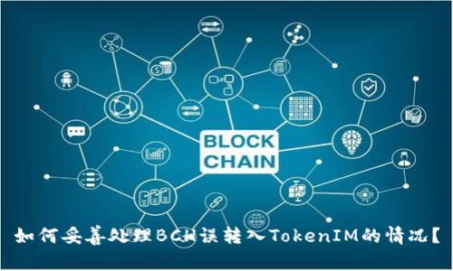 如何妥善处理BCH误转入TokenIM的情况？