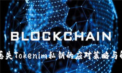 ### 丢失Tokenim私钥的应对策略与解决方案