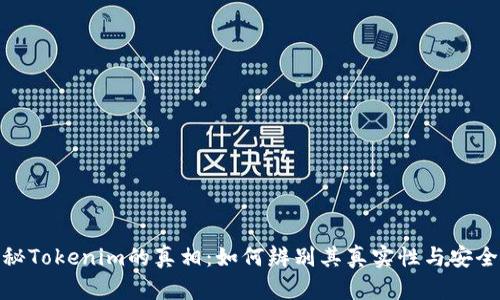 探秘Tokenim的真相：如何辨别其真实性与安全性