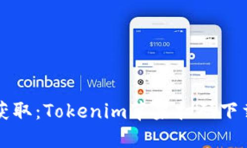 轻松获取：Tokenim苹果扫码下载指南