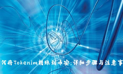 如何将Tokenim转账到币安：详细步骤与注意事项