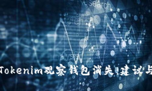 如何应对Tokenim观察钱包消失：建议与解决方案
