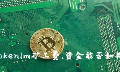 降低Tokenim矿工费，资金能否如期到账？