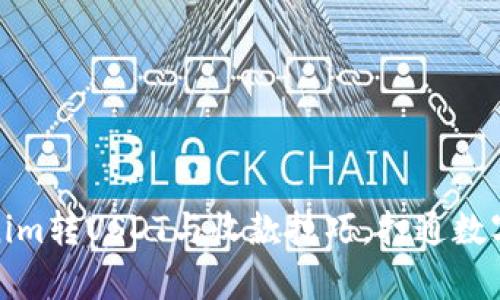 轻松学会Tokenim转USDT与收款技巧，打通数字资产交易之路