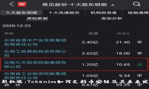全新机遇：Tokenim如何支持币安链及其未来发展