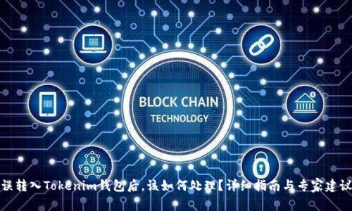 误转入Tokenim钱包后，该如何处理？详细指南与专家建议