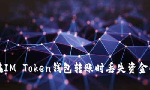 如何避免在IM Token钱包转账时丢失资金的全面指南