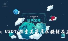 Tokenim USDT：探索其底层区块链及应用场景