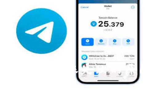 深入解析：Tokenim转账失败的原因与解决方案