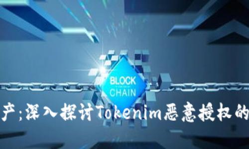 保护您的数字资产：深入探讨Tokenim恶意授权的风险及防范措施