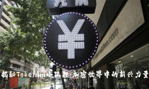 揭秘Tokenim小狐狸：加密世界中的新兴力量