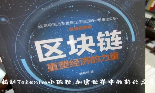 揭秘Tokenim小狐狸：加密世界中的新兴力量