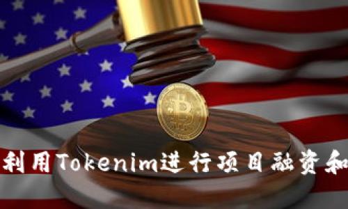 如何高效利用Tokenim进行项目融资和社区建设