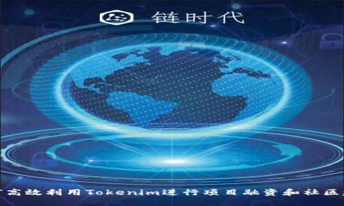 如何高效利用Tokenim进行项目融资和社区建设