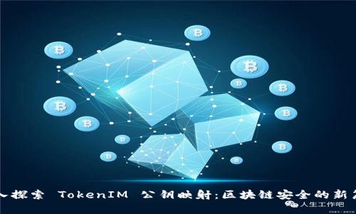 深入探索 TokenIM 公钥映射：区块链安全的新篇章
