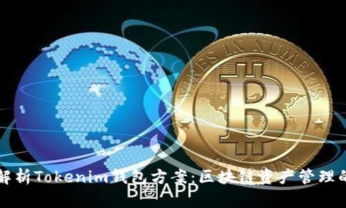 全面解析Tokenim钱包方案：区块链资产管理的未来
