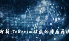 深度分析：Tokenim被盗的背后原因揭示