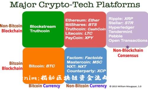 Tokenim：揭秘区块链资金流向与透明性
