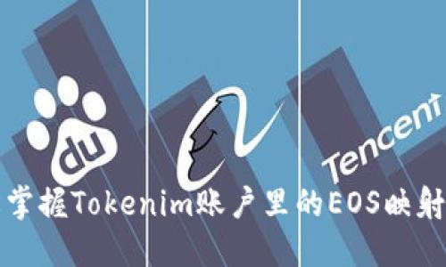 轻松掌握Tokenim账户里的EOS映射技巧