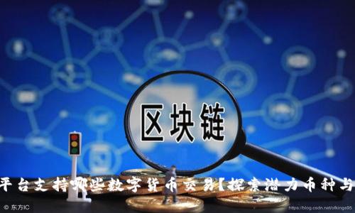 Tokenim平台支持哪些数字货币交易？探索潜力币种与投资机会