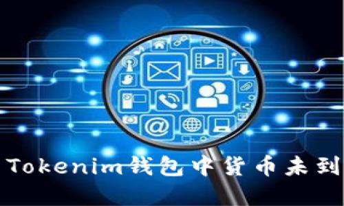 如何解决Tokenim钱包中货币未到账的问题