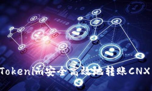 如何通过Tokenim安全高效地转账CNX：全面指南