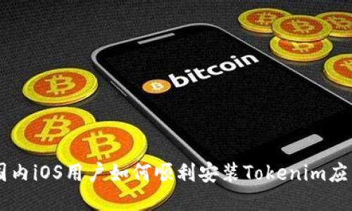 国内iOS用户如何顺利安装Tokenim应用