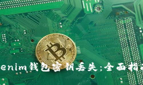如何应对Tokenim钱包密钥丢失：全面指南与解决方案