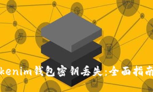 如何应对Tokenim钱包密钥丢失：全面指南与解决方案
