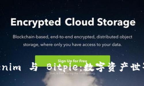 揭秘 Tokenim 与 Bitpie：数字资产世界中的新星