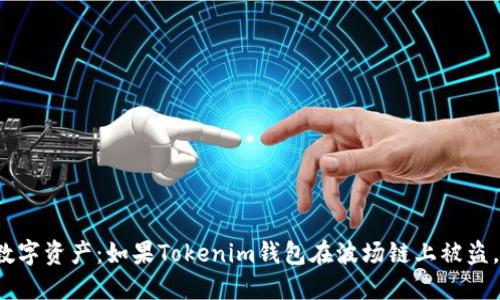 保护您的数字资产：如果Tokenim钱包在波场链上被盗，该怎么做？