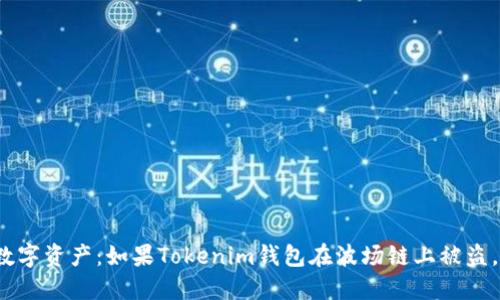 保护您的数字资产：如果Tokenim钱包在波场链上被盗，该怎么做？
