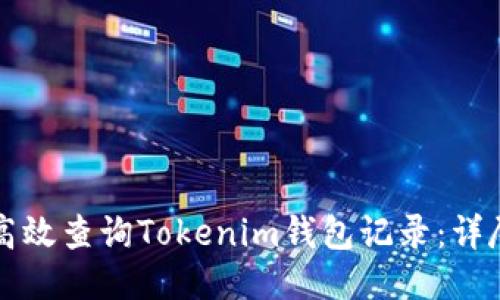 如何高效查询Tokenim钱包记录：详尽指南