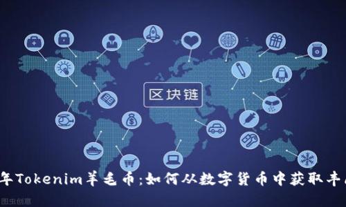 2020年Tokenim羊毛币：如何从数字货币中获取丰厚收益