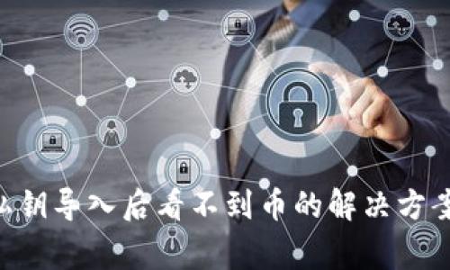 : Tokenim私钥导入后看不到币的解决方案与注意事项