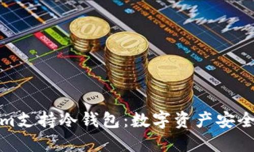Tokenim支持冷钱包：数字资产安全的保障