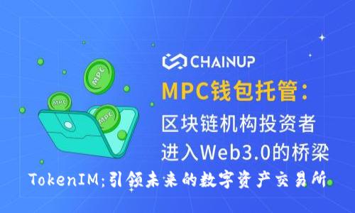 TokenIM：引领未来的数字资产交易所