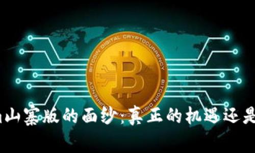 揭开Tokenim山寨版的面纱：真正的机遇还是仅仅是泡沫？