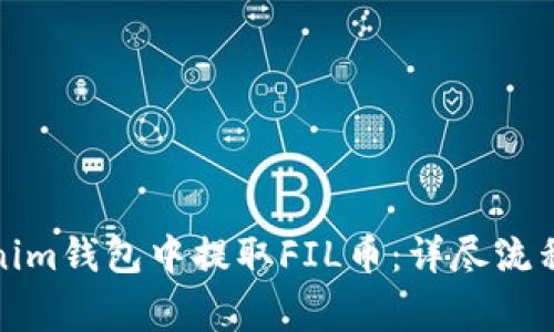 如何在Tokenim钱包中提取FIL币：详尽流程与注意事项