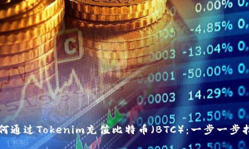 如何通过Tokenim充值比特币（BTC）：一步一步指南
