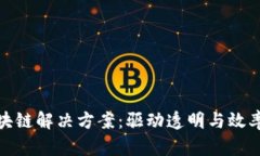 金融领域区块链解决方案：驱动透明与效率的新