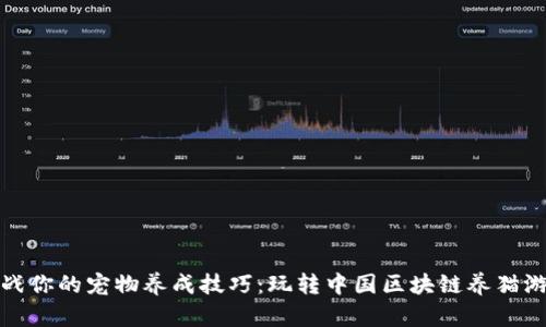 挑战你的宠物养成技巧：玩转中国区块链养猫游戏