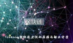 Tokenim转账速度慢的原因及解决方案