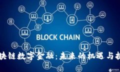 区块链数字金融：未来的机遇与挑战