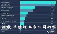 探索金融领域：区块链上市公司的崛起和潜力