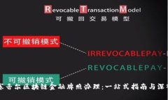 解密塞舌尔区块链金融牌照办理：一站式指南与