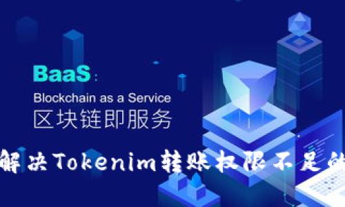 如何解决Tokenim转账权限不足的问题