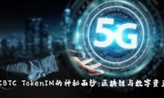 揭开OTCBTC TokenIM的神秘面纱：区块链与数字资产的