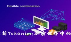 深入解析Tokenim：加密世界中的新风口
