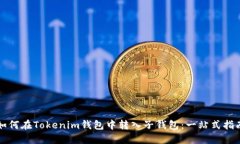 如何在Tokenim钱包中转入子钱包：一站式指南